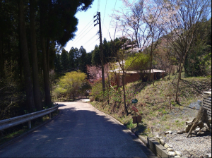 佐賀市三瀬村藤原、土地の外観画像です