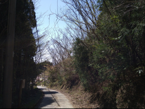 佐賀市三瀬村藤原、土地の外観画像です