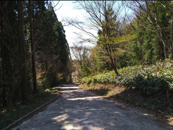 佐賀市三瀬村藤原、土地の外観画像です