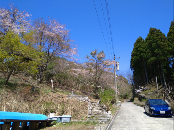 佐賀市三瀬村藤原、土地の外観画像です