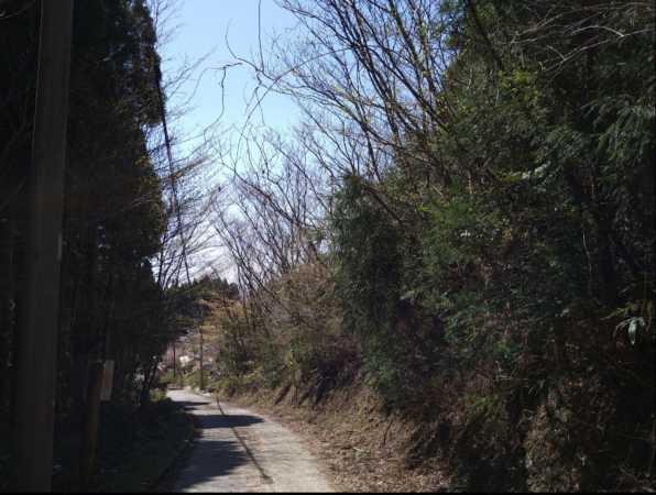 佐賀市三瀬村藤原、土地の外観画像です