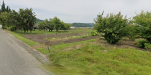 佐賀市大和町、土地の外観画像です