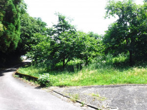 佐賀市大和町、土地の外観画像です