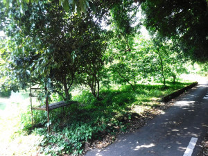 佐賀市大和町、土地の外観画像です