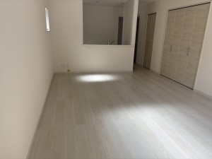 八尾市高安町南、新築一戸建ての画像です