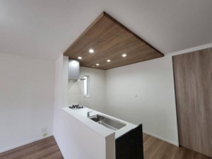 八尾市山本町南、新築一戸建ての画像です