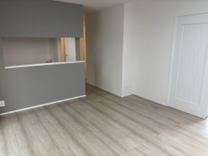 八尾市明美町、新築一戸建ての画像です