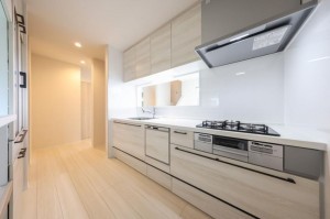 八尾市恩智南町、新築一戸建ての画像です
