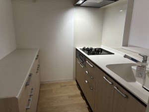 八尾市若林町、マンションの画像です