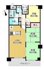 八尾市渋川町、マンションの間取り画像です