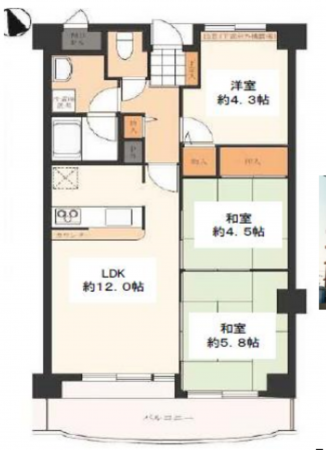 八尾市渋川町、マンションの間取り画像です