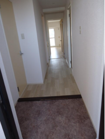 八尾市志紀町南、マンションの画像です