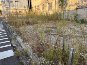 八尾市太田新町、土地の画像です