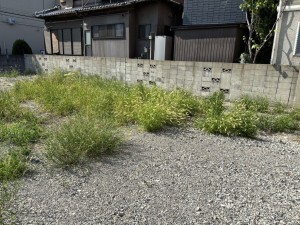 八尾市東老原、土地の画像です