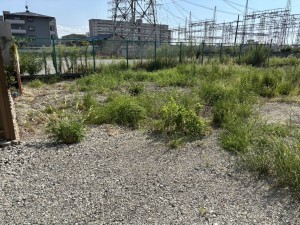 八尾市東老原、土地の画像です