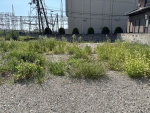 八尾市東老原、土地の画像です