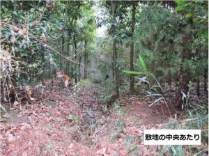 八尾市大字郡川、土地の画像です