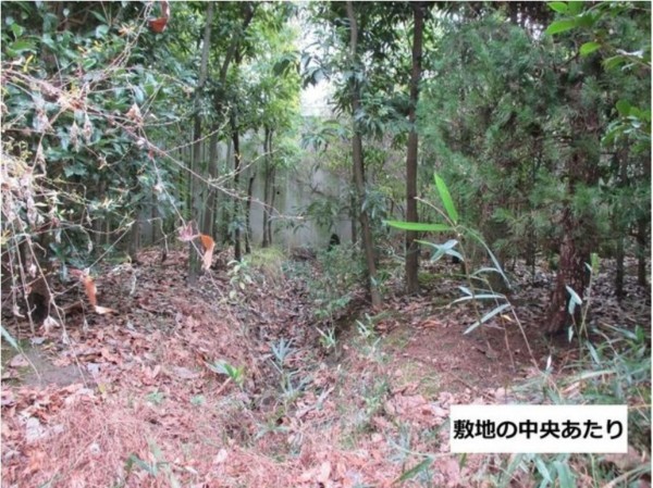八尾市大字郡川、土地の画像です