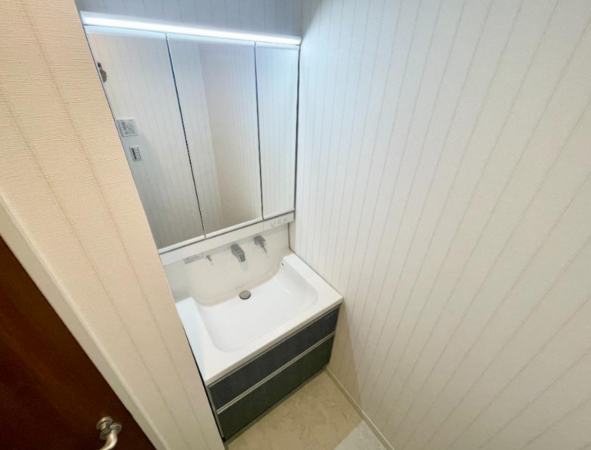 八尾市上之島町北、新築一戸建ての画像です