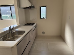 八尾市太田新町、新築一戸建ての画像です