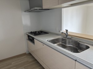 八尾市南久宝寺、マンションの画像です