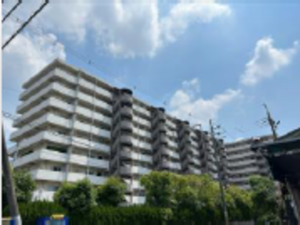 八尾市志紀町南、マンションの画像です