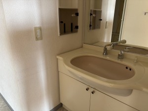八尾市天王寺屋、マンションの画像です