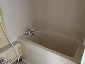 八尾市天王寺屋、マンションの画像です