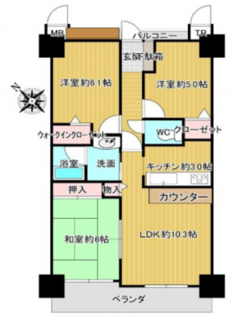 八尾市天王寺屋、マンションの間取り画像です
