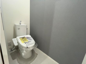 八尾市東町、新築一戸建ての画像です