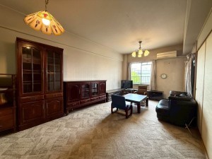 八尾市若林町、マンションの画像です