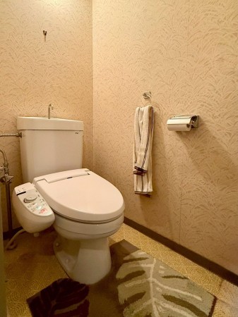 八尾市若林町、マンションの画像です