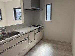 八尾市上之島町南、新築一戸建ての画像です