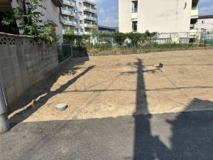 八尾市山本町北、土地の画像です