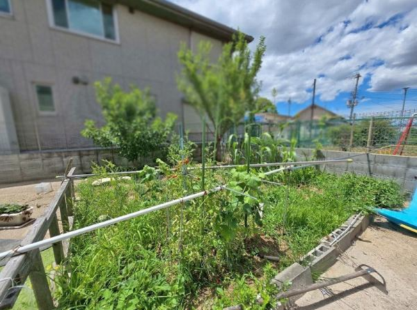 八尾市楽音寺、中古一戸建ての画像です