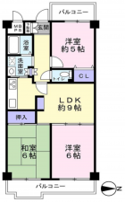 八尾市志紀町南、マンションの間取り画像です