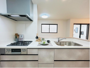 八尾市堤町、新築一戸建ての画像です