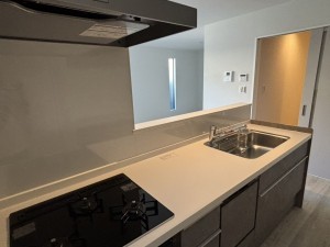 八尾市竹渕、新築一戸建ての画像です