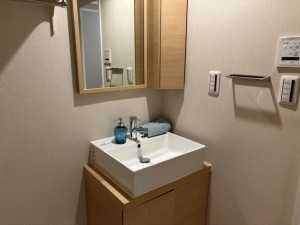 八尾市志紀町南、マンションの画像です