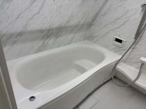 八尾市本町、新築一戸建ての画像です