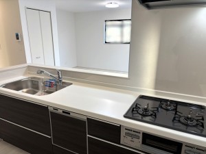 八尾市志紀町南、新築一戸建ての画像です