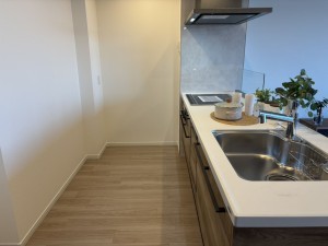 八尾市龍華町、マンションの画像です