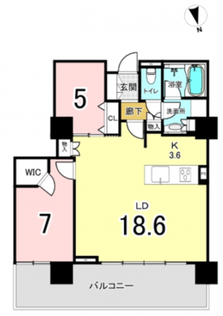 八尾市龍華町、マンションの間取り画像です