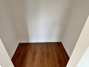 八尾市刑部、新築一戸建ての収納画像です