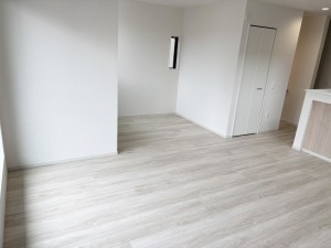 八尾市安中町、新築一戸建ての画像です