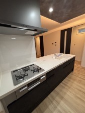 八尾市高美町、新築一戸建ての画像です