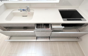 八尾市天王寺屋、新築一戸建ての建築プラン例画像です