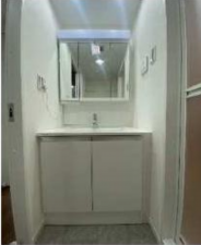 八尾市安中町、マンションの洗面画像です