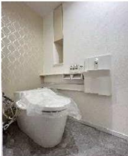 八尾市安中町、マンションのトイレ画像です