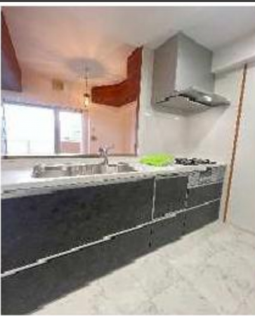 八尾市安中町、マンションのキッチン画像です